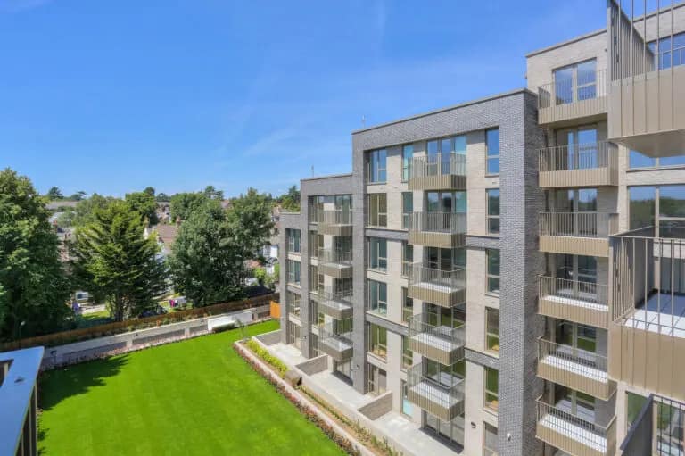 Orchid Court — Concepto project photography